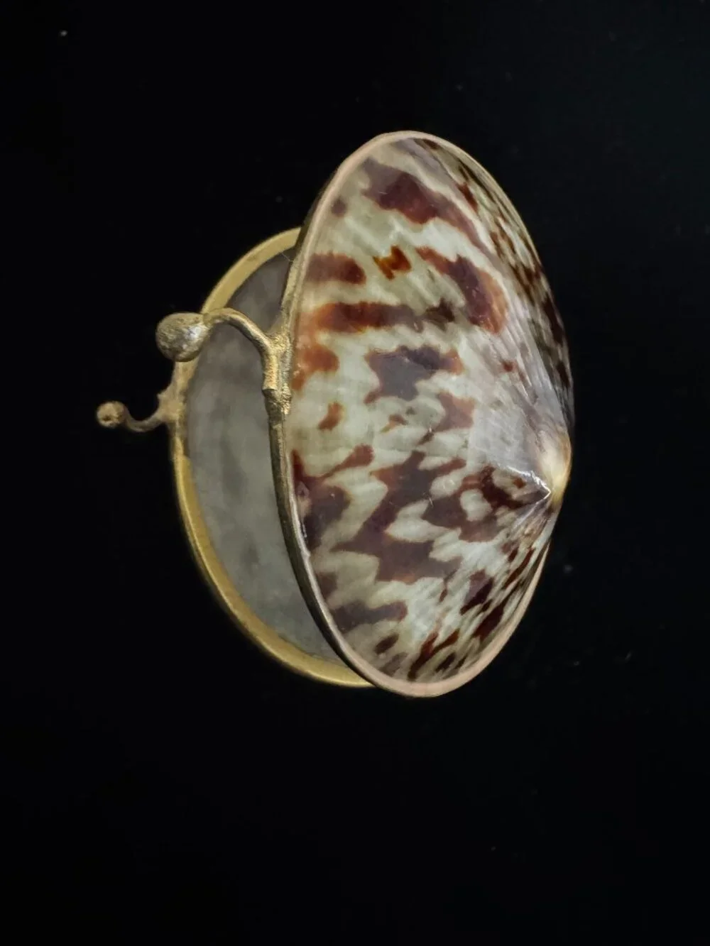 Shell trinket box with brass rim